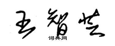 朱錫榮王智芝草書個性簽名怎么寫