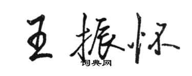 駱恆光王振懷行書個性簽名怎么寫