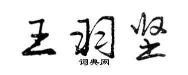 曾慶福王羽堅行書個性簽名怎么寫