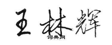 駱恆光王林輝行書個性簽名怎么寫