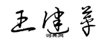 曾慶福王健苹草書個性簽名怎么寫