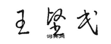 駱恆光王堅民草書個性簽名怎么寫