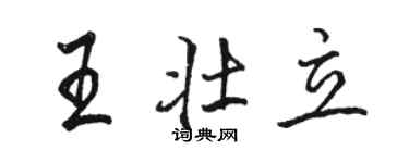 駱恆光王壯立行書個性簽名怎么寫
