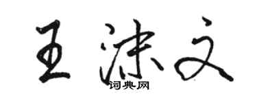 駱恆光王沫文行書個性簽名怎么寫