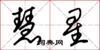 朱錫榮慧星草書怎么寫