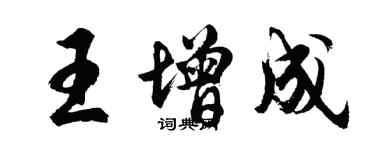 胡問遂王增成行書個性簽名怎么寫