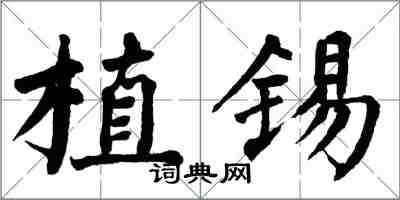 翁闓運植錫楷書怎么寫