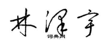 梁錦英林澤宇草書個性簽名怎么寫