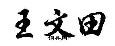 胡問遂王文田行書個性簽名怎么寫
