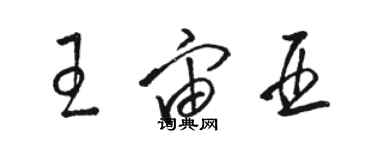 駱恆光王宙亞草書個性簽名怎么寫