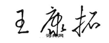 駱恆光王康拓草書個性簽名怎么寫