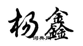 胡問遂楊鑫行書個性簽名怎么寫
