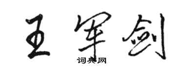 駱恆光王軍劍行書個性簽名怎么寫