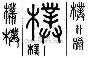 “朴　樸”篆刻印章