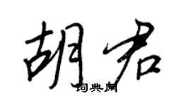 王正良胡君行書個性簽名怎么寫