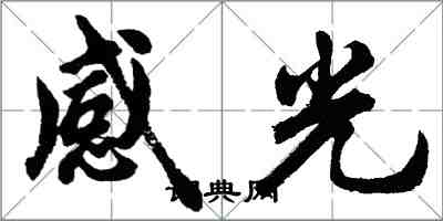 胡問遂感光行書怎么寫