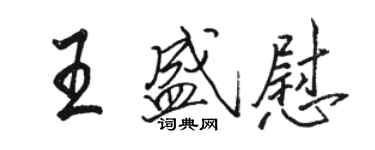 駱恆光王盛慰行書個性簽名怎么寫