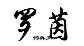 胡問遂羅茵行書個性簽名怎么寫