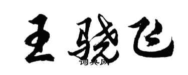 胡問遂王驍飛行書個性簽名怎么寫