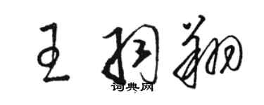 駱恆光王羽翔草書個性簽名怎么寫