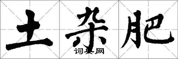 翁闓運土雜肥楷書怎么寫