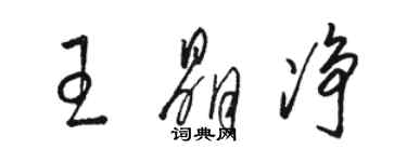 駱恆光王晶淨草書個性簽名怎么寫