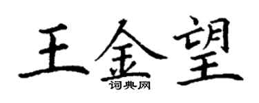 丁謙王金望楷書個性簽名怎么寫