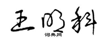 曾慶福王明科草書個性簽名怎么寫