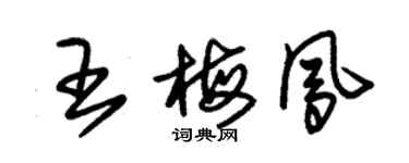 朱錫榮王梅鳳草書個性簽名怎么寫