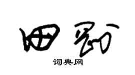 朱錫榮田剛草書個性簽名怎么寫