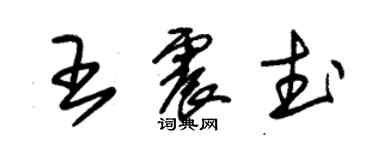 朱錫榮王震武草書個性簽名怎么寫