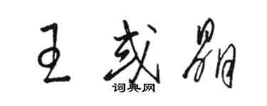 駱恆光王或晶草書個性簽名怎么寫