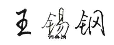 駱恆光王錫鋼行書個性簽名怎么寫