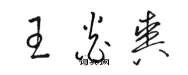 駱恆光王炎爽草書個性簽名怎么寫