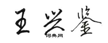 駱恆光王興鑒行書個性簽名怎么寫