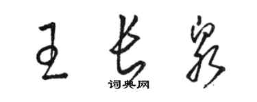 駱恆光王長泉草書個性簽名怎么寫