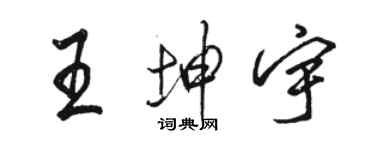 駱恆光王坤宇行書個性簽名怎么寫