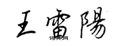 王正良王雷陽行書個性簽名怎么寫