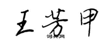 王正良王芳甲行書個性簽名怎么寫