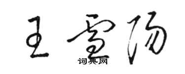 駱恆光王雪陽草書個性簽名怎么寫