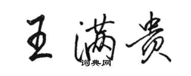 駱恆光王滿貴行書個性簽名怎么寫