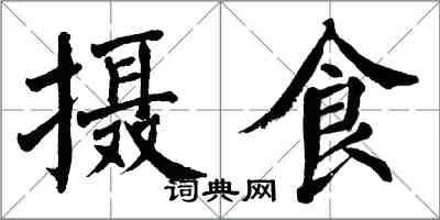 翁闓運攝食楷書怎么寫