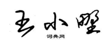 朱錫榮王小野草書個性簽名怎么寫