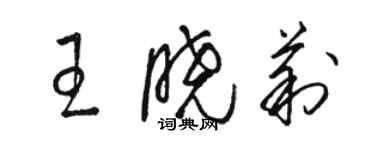 駱恆光王曉莉草書個性簽名怎么寫