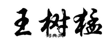 胡問遂王樹猛行書個性簽名怎么寫
