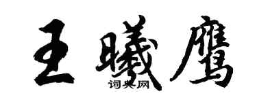 胡問遂王曦鷹行書個性簽名怎么寫