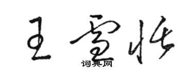 駱恆光王雪恬草書個性簽名怎么寫