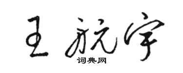 駱恆光王航宇草書個性簽名怎么寫
