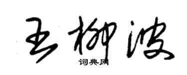 朱錫榮王柳波草書個性簽名怎么寫