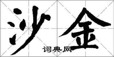 翁闓運沙金楷書怎么寫